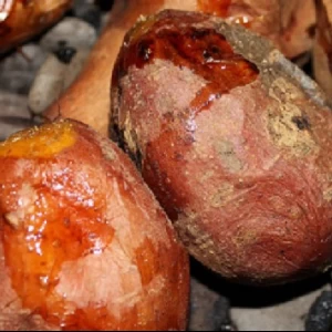 安納芋の特徴や由来などを解説！サツマイモがおいしくなる豆知識を紹介